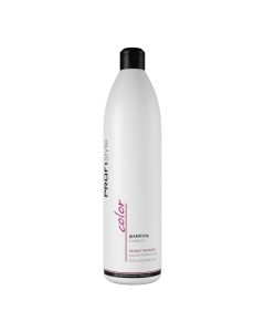 Шампунь для защиты цвета волос Profistyle Color Shampoo, 1000 мл