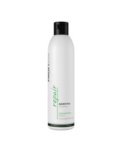 Шампунь восстанавливающий для поврежденных волос Profistyle Repair Shampoo, 250 мл
